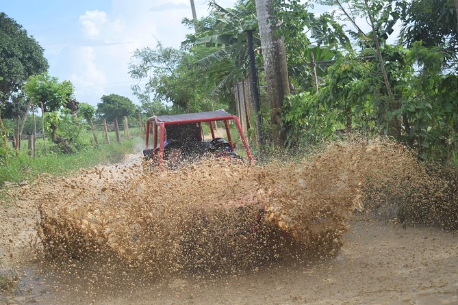 Platinum Buggy Adventure - Pickup and Timing Can Make or Break the Day