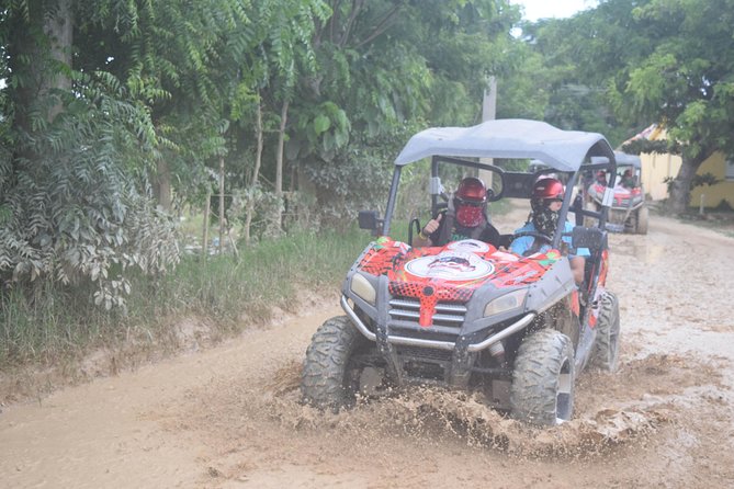 Platinum Buggy Adventure - The Tour Format Deserves Extra Checking