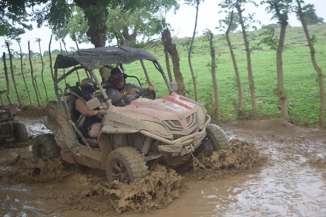 Platinum Buggy Adventure - Is Platinum Buggy Adventure Worth Booking?