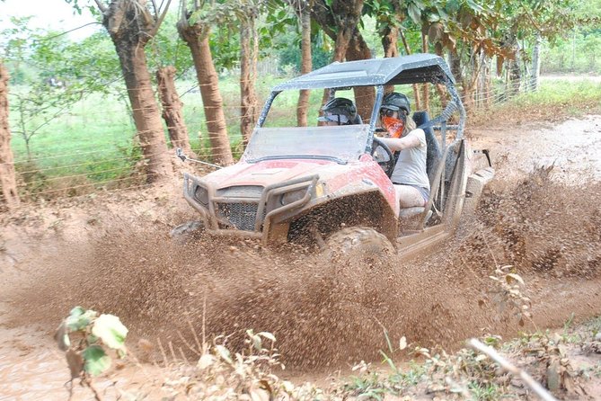 Platinum Buggy Adventure - What the Four-Hour Route Actually Promises