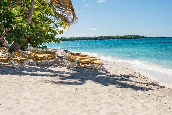 Platinum Catalina Island and Chavon River - Who will enjoy this Catalina Island trip?