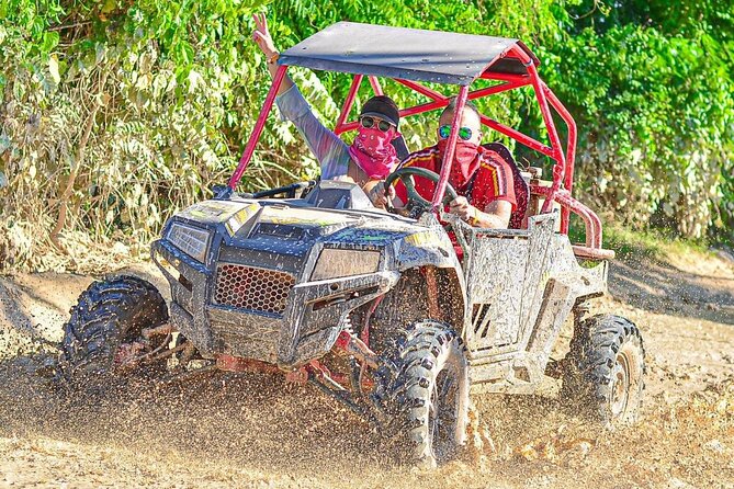 Predator Buggies Tour in Punta Cana - The typical plantation setting and local countryside