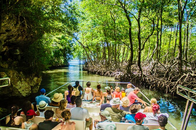 PRIVATE: 3in1 - Los Haitises N.P. + Y. Waterfall + Mount. Redonda - Key points to know before you book