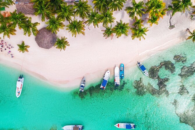 Private Activity Speedboat Ride and Snorkeling in Punta Cana - The speedboat ride: wind, turns, and wave jumps