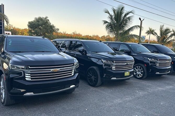 Private Airport Transfer from Punta Cana safety & Comfort - How reliable is the timing?