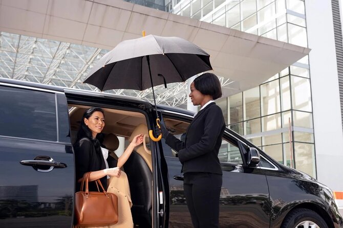 Private Airport Transfers - Punta Cana - Who will get the most from this transfer