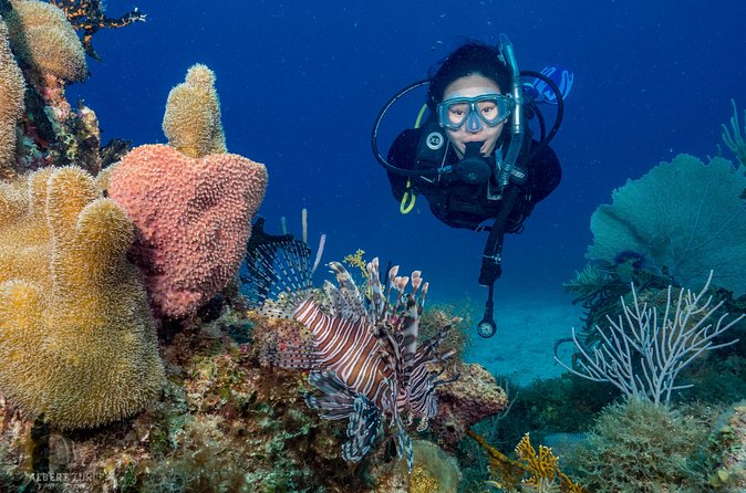 Private Bayahibe 3 Tank Diving with Lunch from Punta Cana - Lunch at a seaside restaurant