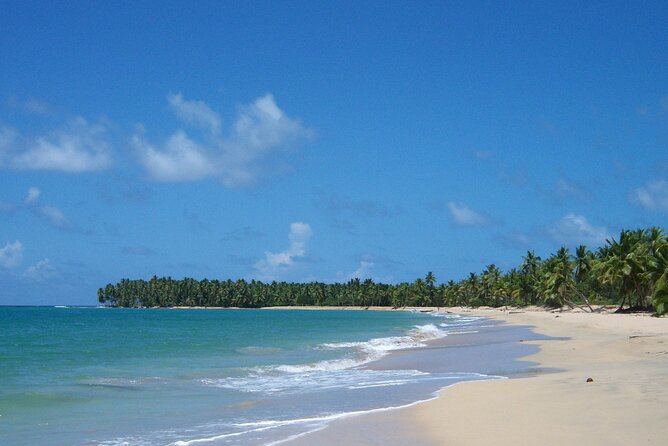 Private Boat Nature Tour of Limón Beach and Lagoon - Key points to know before booking