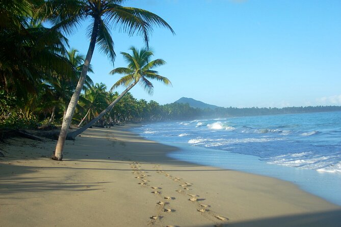 Private Boat Nature Tour of Limón Beach and Lagoon - A Dominican lunch in El Cedro