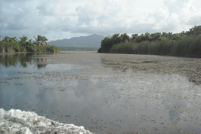 Private Boat Nature Tour of Limón Beach and Lagoon - What the $290 price really covers