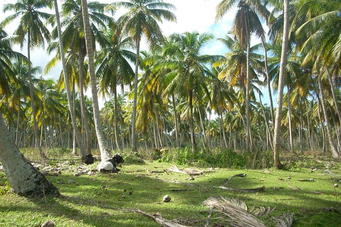 Private Boat Nature Tour of Limón Beach and Lagoon - What kind of guide experience to expect