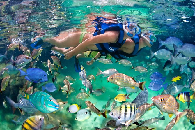 Private Catamaran Snorkeling Family Adventure - Photography: the detail to settle before boarding