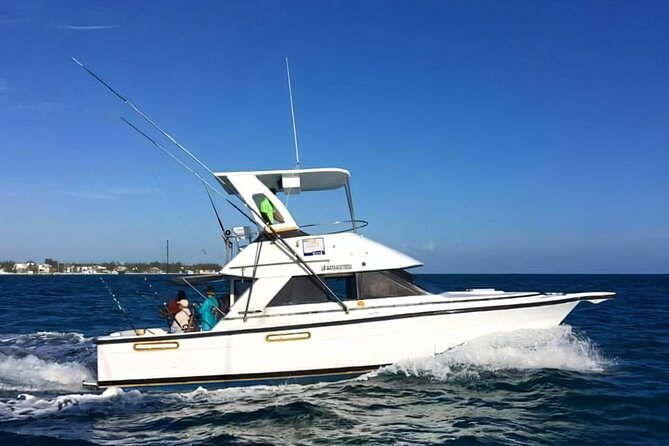 Private Fishing charter Punta Cana (Alondra) - Key points at a glance
