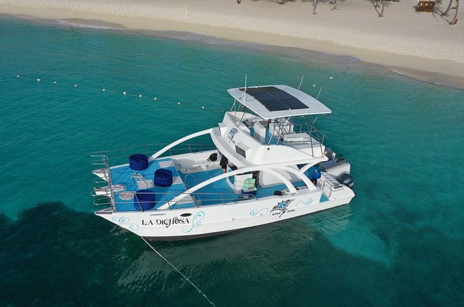 Private Full Day Charter to Saona Island from Punta Cana - Who should book this charter