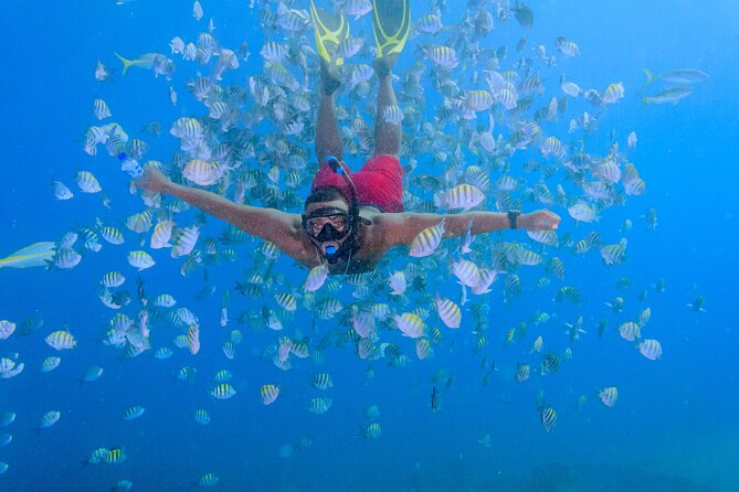 Private Full Day Charter to Saona Island from Punta Cana - First stop: snorkeling above the Atlantic Princess wreck