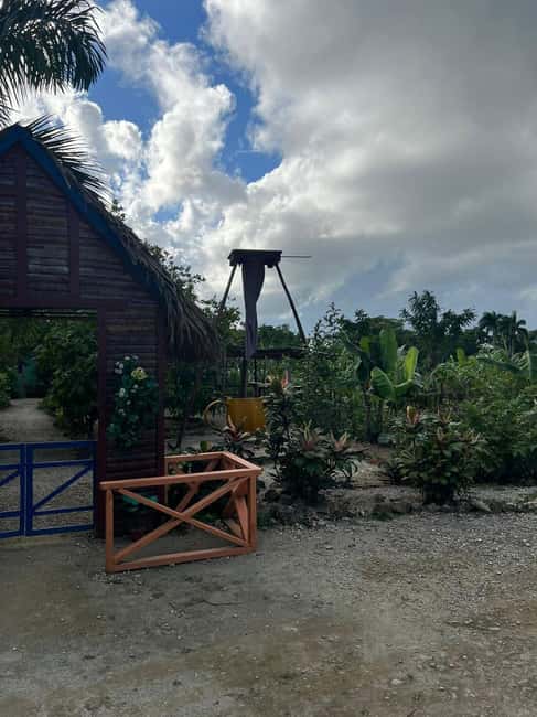 Private Half Day Tour in Punta Cana-Higüey with Local Guide - Who will enjoy this half-day outing