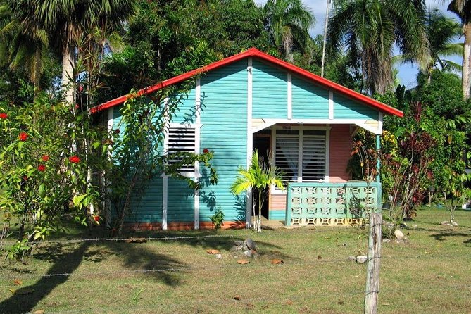 Private Higuey City Tour Real Life in Punta Cana (Half Day) - Coffee, cocoa, and the cigar factory