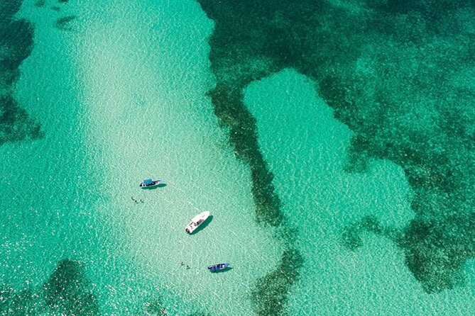 Private Isla Saona Boat Tour – Snorkeling Premium Drinks & Buffet - Why Palmilla is more than a quick photo stop