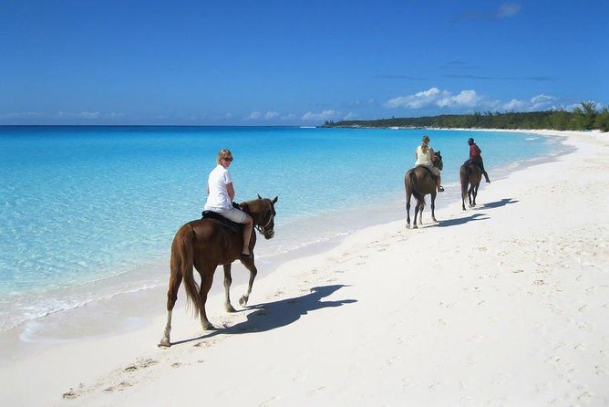 Private Macao Beach horseback riding in punta cana and Bayahibe - Key points before you book