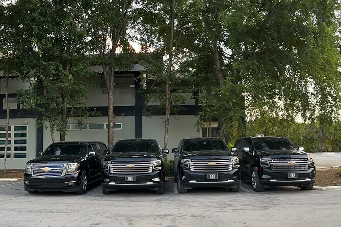 Private Punta Cana Airport Transfers Hotels in Dominican Republic - Who will get the most from this transfer