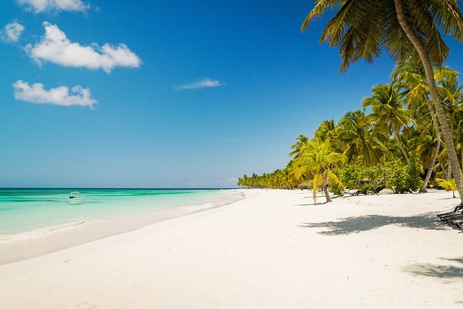 Private Saona Island Excursion - Key points to know before you book