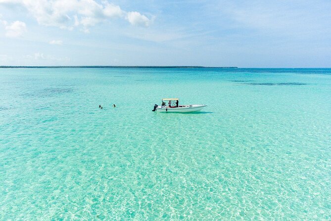 Private Saona Island Excursion - Snorkeling, wildlife, and equipment