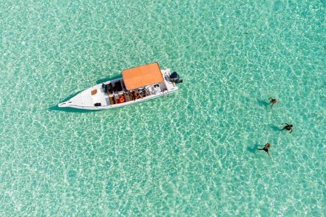 Private Saona Island Excursion - Who will enjoy this Saona trip most