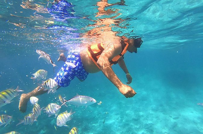 Private Speed Boat Experience with Snorkeling in Punta Cana - Pickup, Timing, and Physical Demands