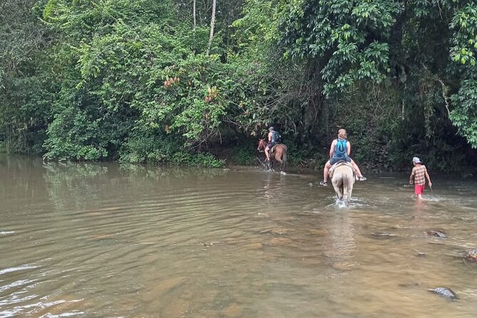 Private Tour in Miches with La Jarda Waterfall Experience - Entering La Jalda National Park by foot or horse