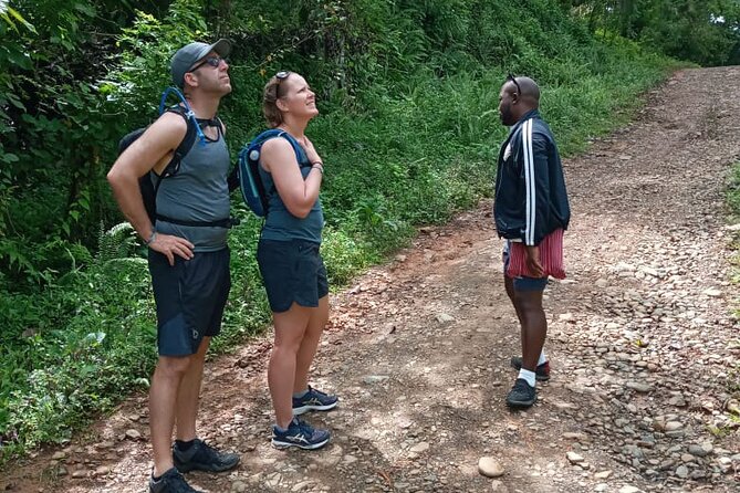Private Tour in Miches with La Jarda Waterfall Experience - A Dominican meal after the exertion