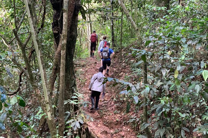 Private Tour in Miches with La Jarda Waterfall Experience - Montana Redonda and the view over Miches