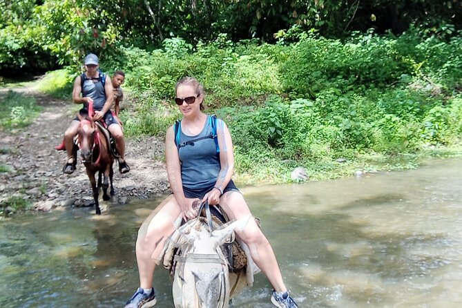 Private Tour in Miches with La Jarda Waterfall Experience - What the $180 price buys you