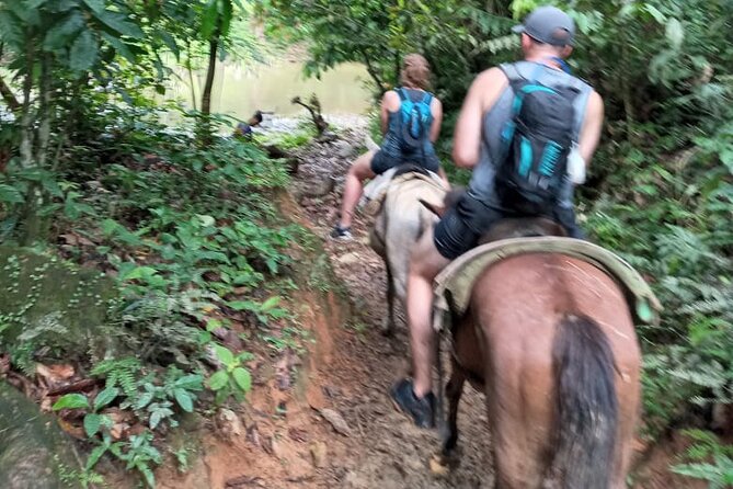 Private Tour in Miches with La Jarda Waterfall Experience - The waterfall and natural lagoon