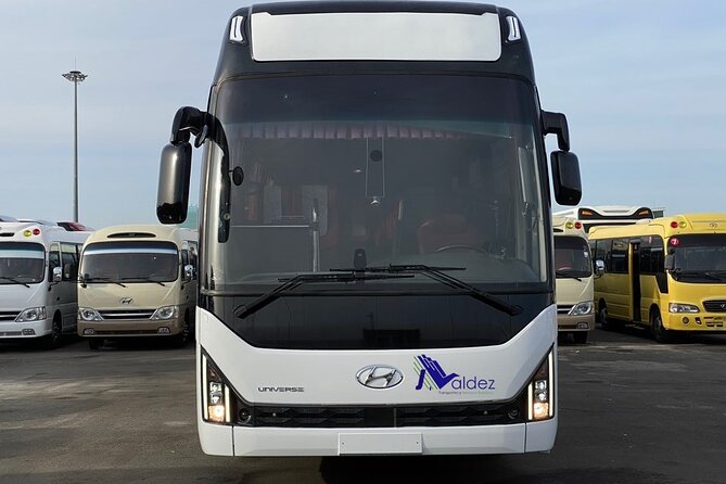 Private Transfer From or to Punta Cana Airport to hotels in Bávaro - The main weakness: terminal coordination