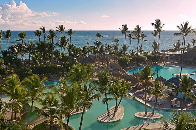 Private Transfer from Punta Cana Airport or Iberostar Punta Cana - The customer service contact, Julio