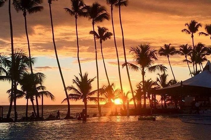 Private Transfer From Punta Cana Airport to Cap Cana, Cabeza de Toro and Bavaro - Booking details that deserve attention