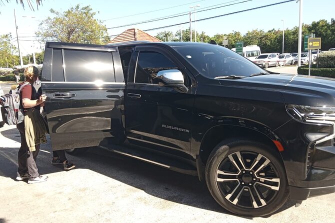 Private Transfer from Punta Cana Airport to Hotels - The return journey from the resort