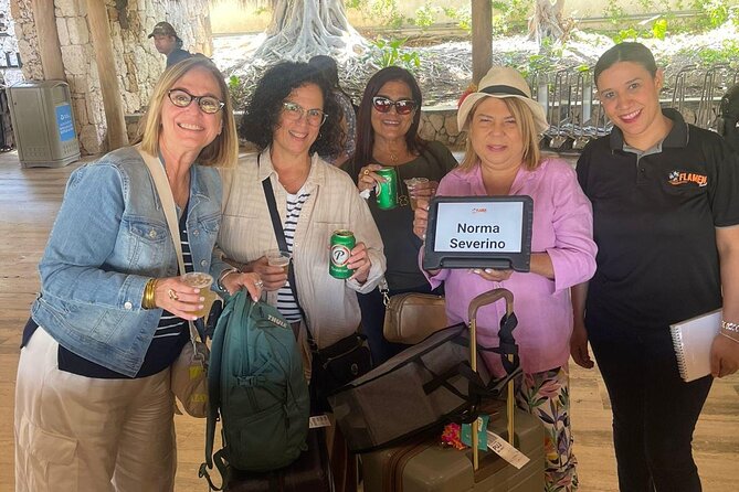 Private Transfer from Punta Cana Airport to Your Hotel - Choosing Bávaro, Uvero Alto, or Cap Cana