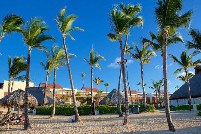 Private Transfer from Punta Cana Airport to Zona Hotels - Key points at a glance