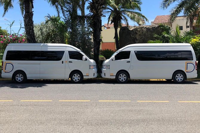 Private Transfer Punta Cana Airport and Bayahibe, La Romana - What happens when your flight lands