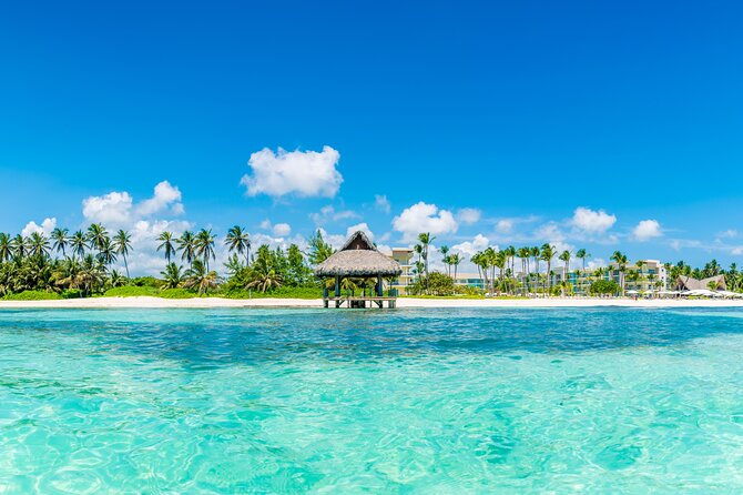 Private Transfer Punta Cana Airport PUJ - Punta Cana Bavaro Veron - What the strongest rides have in common