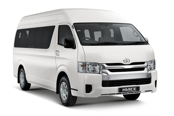 Private Transfers From Punta Cana Airport to Punta Cana Hotels - Who should book this transfer