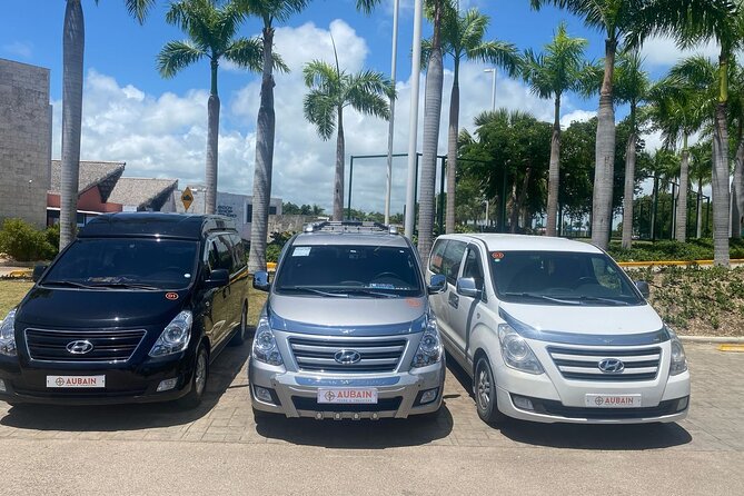 Private Transfers From Punta Cana To Bavaro - What the return trip requires