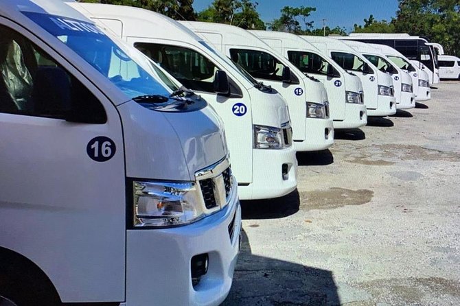 Private Transfers in PUNTA CANA AIRPORT - Return trips need extra care
