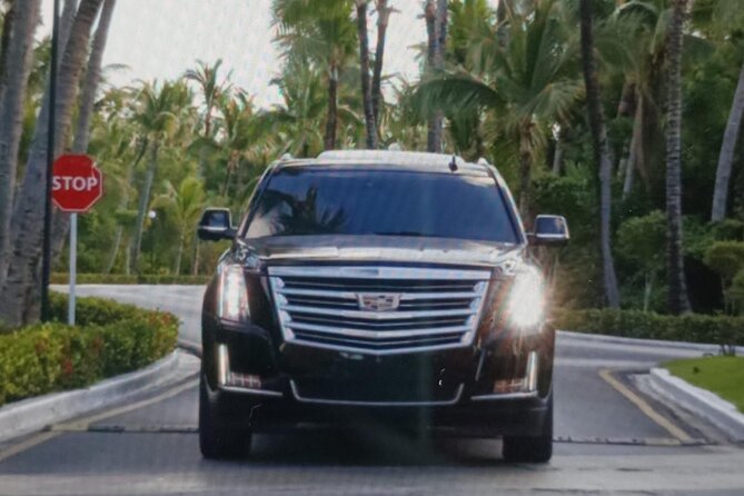 Private Transportation to/from Punta Cana Airport and Hotels - The arrival meeting point is the key detail