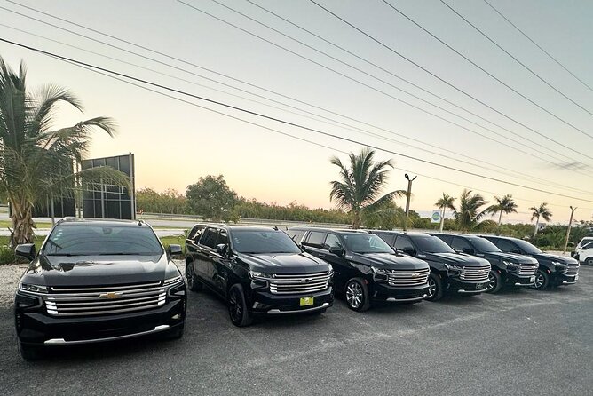 Private VIP Shuttle Service in Punta Cana - What Happens After You Land