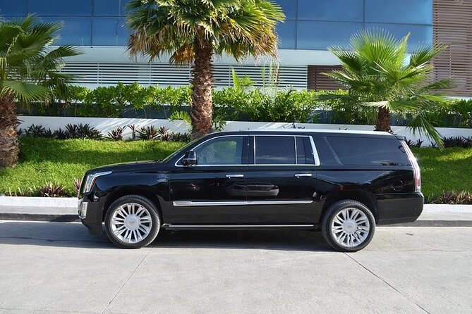 Private VIP Suv and Minivan Airport Transfer around Punta Cana - Why the Private Vehicle Matters