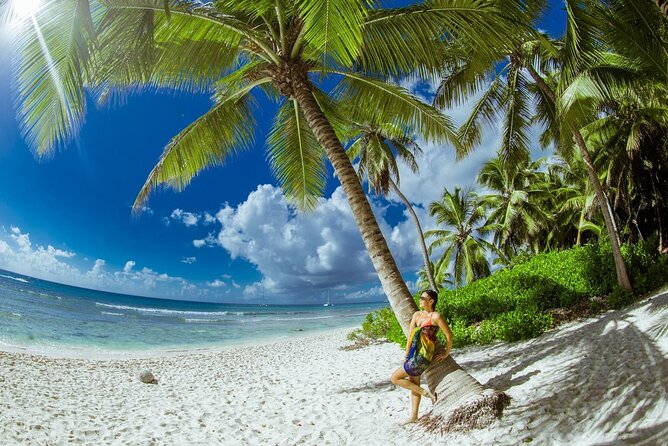 PRIVATE VIP tour Saona Island with Snorkeling, Starfish, Turtles - Key things to know before booking