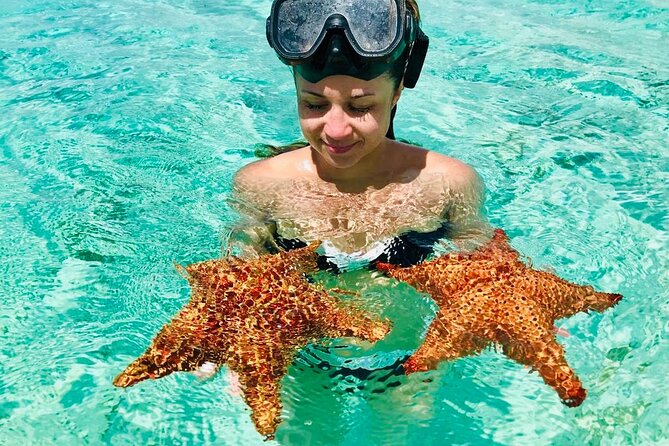 PRIVATE VIP tour Saona Island with Snorkeling, Starfish, Turtles - Snorkeling among tropical fish