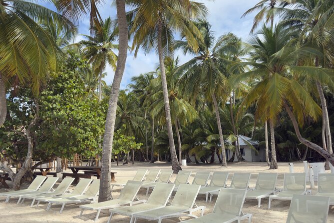 PRIVATE VIP tour Saona Island with Snorkeling, Starfish, Turtles - Staff, service, and the human side of the day